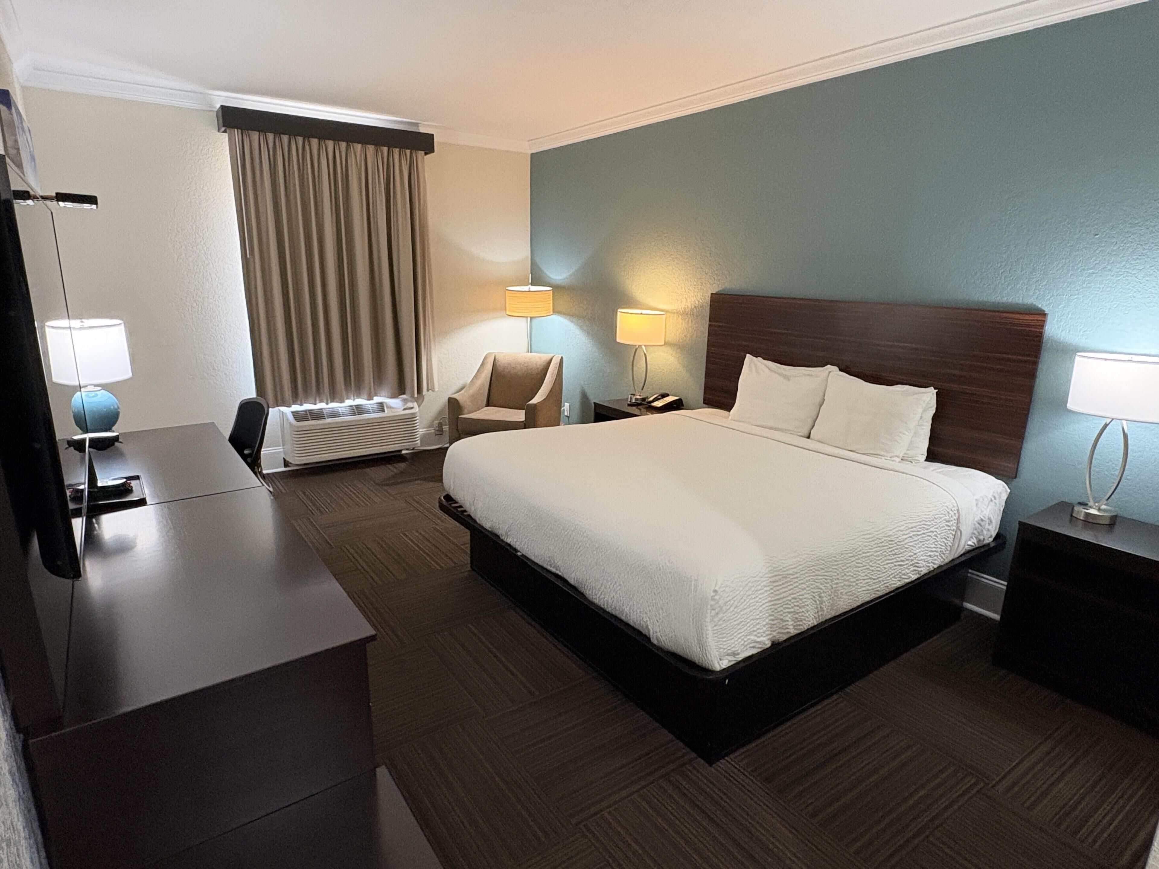 Suite, 1 cama King size, con acceso para personas discapacitadas, tina (with Sofabed) | Escritorio y espacio para trabajar con laptop 