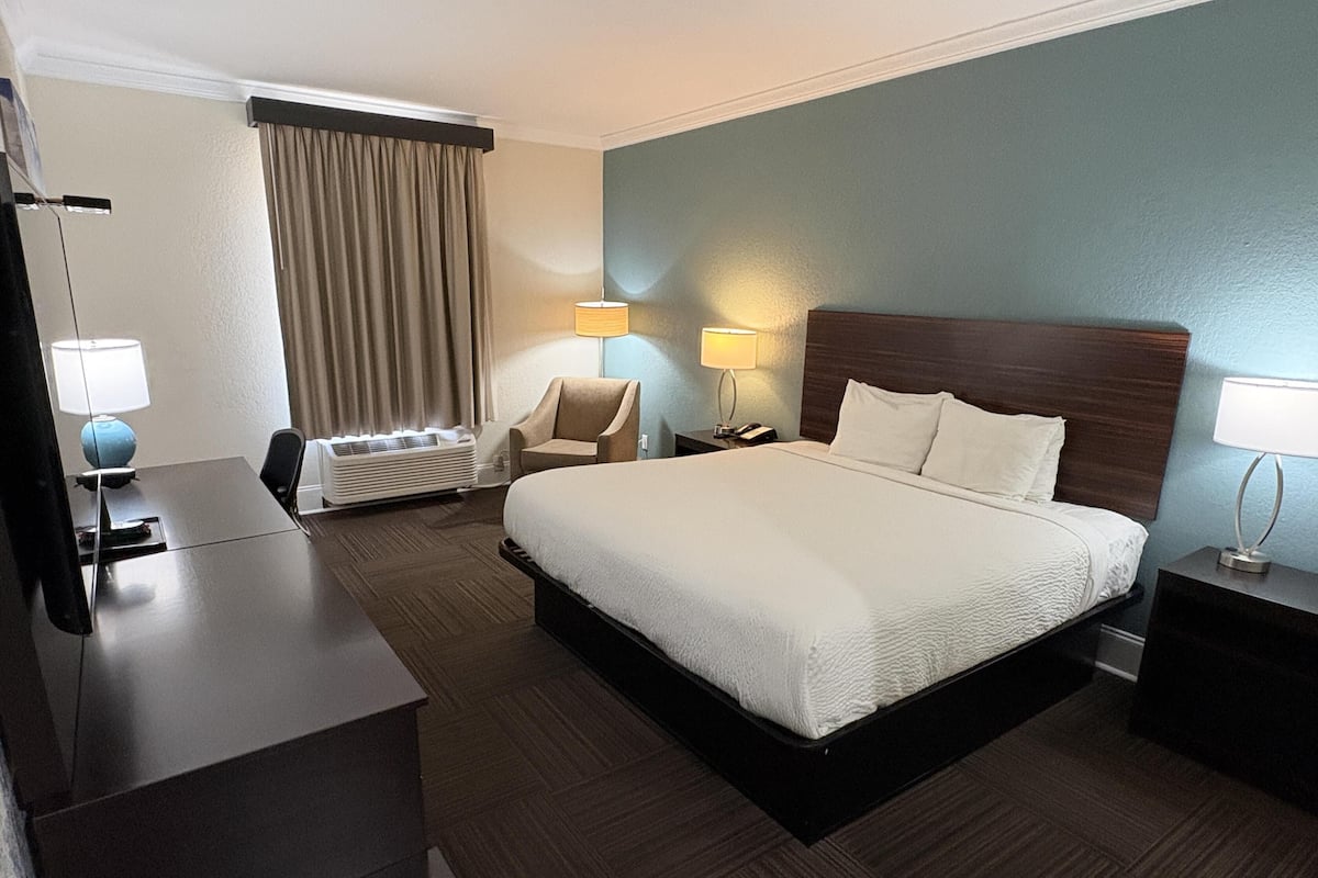 Suite, 1 cama King size, con acceso para personas discapacitadas, tina (with Sofabed) | Escritorio y espacio para trabajar con laptop