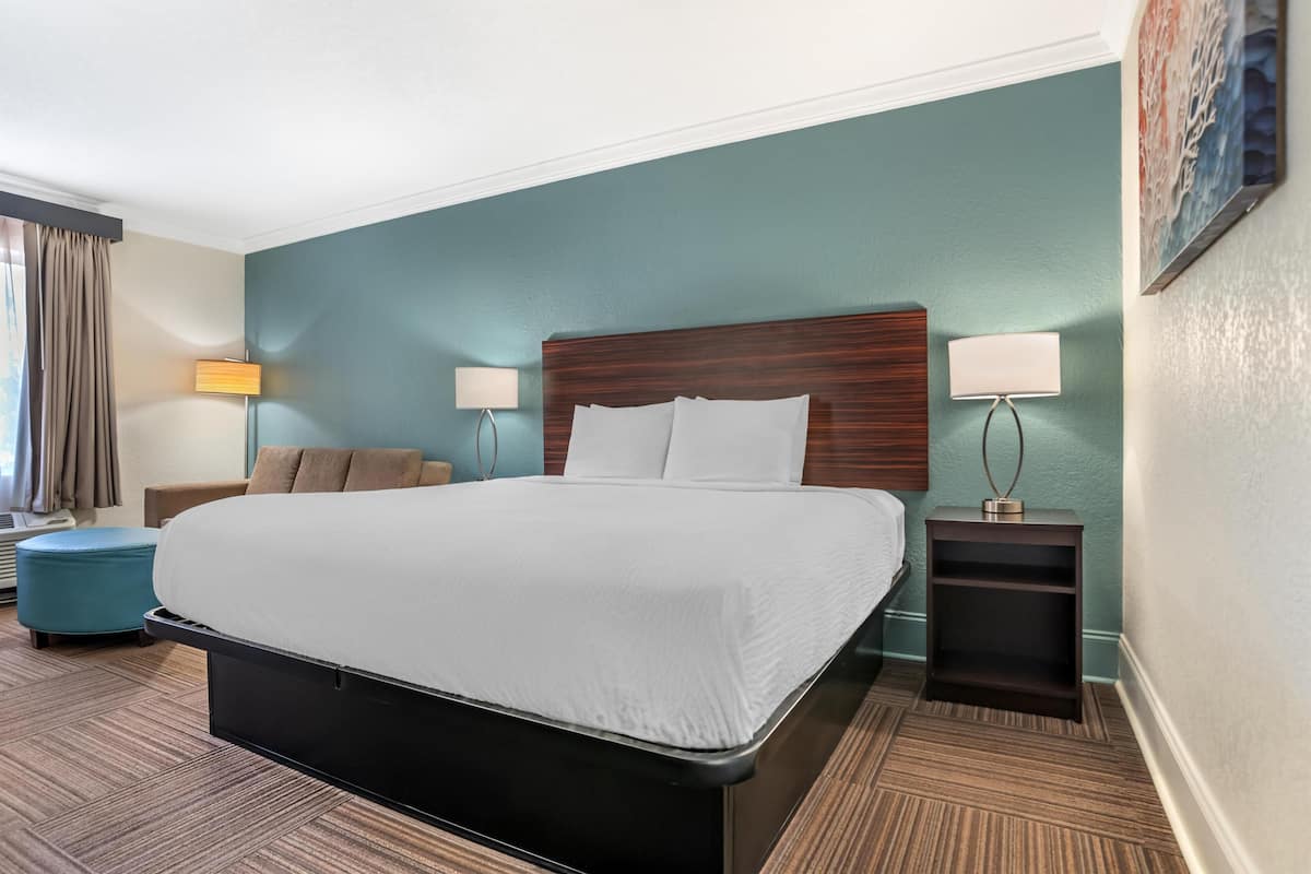 Habitación estándar, 1 cama King size, para no fumadores | Escritorio y espacio para trabajar con laptop