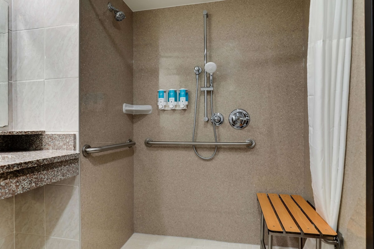 combined shower/bathtub, free toiletries, hair dryer, towels