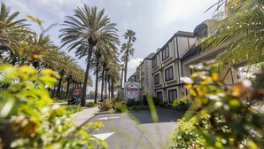 A hotel entrance with a sign for Alamo Inn & Suites, surrounded by palm trees and a clear sky. - Alamo Inn & Suites (Anaheim)