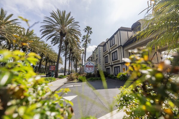 A hotel entrance with a sign for Alamo Inn & Suites, surrounded by palm trees and a clear sky.