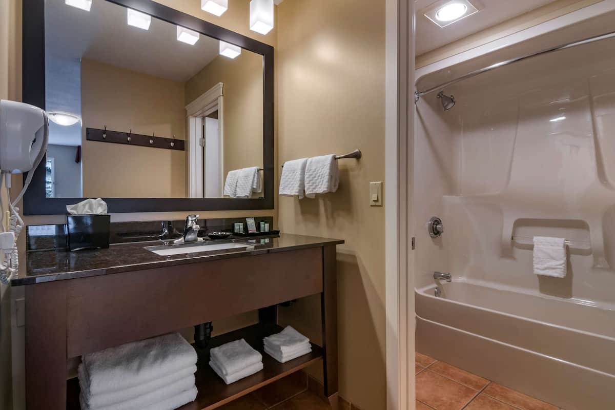 hair dryer, towels, soap, shampoo