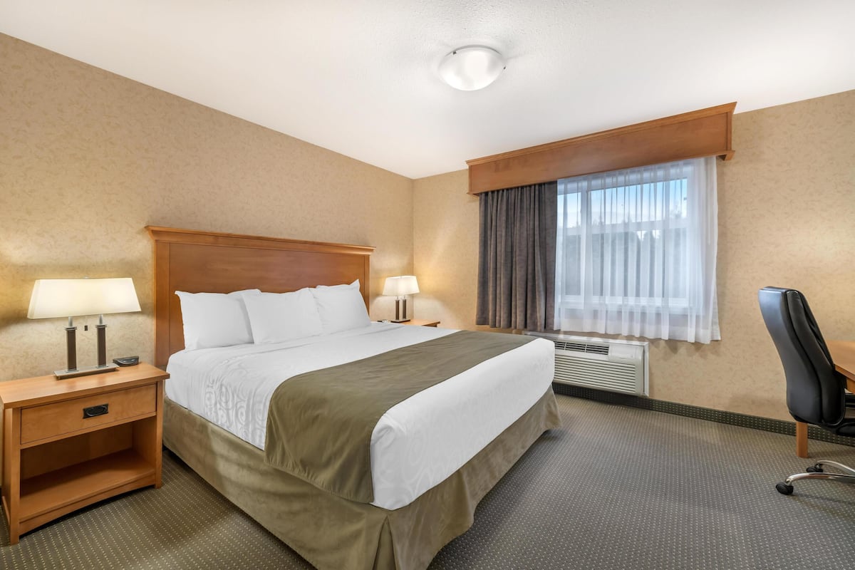 Suite, 1 King Bed, Non Smoking, Fireplace (with Sofabed) | Pillowtop beds, desk, blackout drapes, iron/ironing board