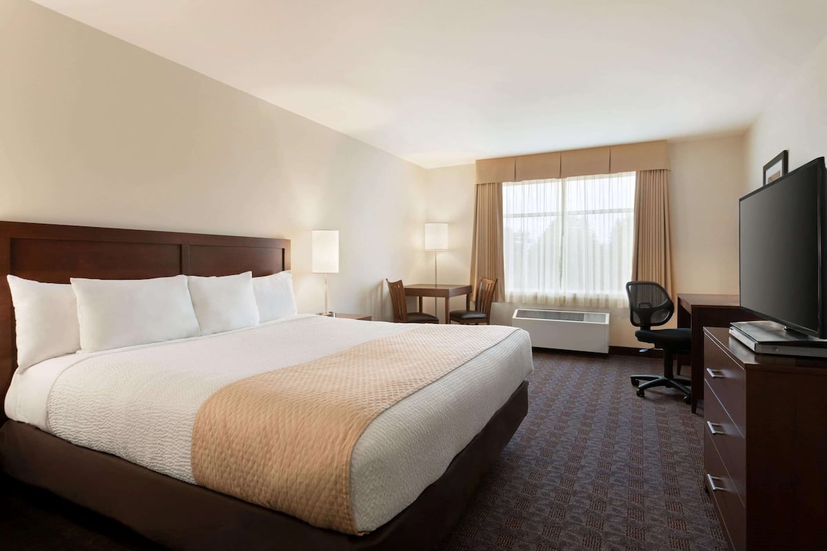 Une chambre d’hôtel avec un grand lit, un bureau, une chaise, une télévision et une fenêtre avec des rideaux.