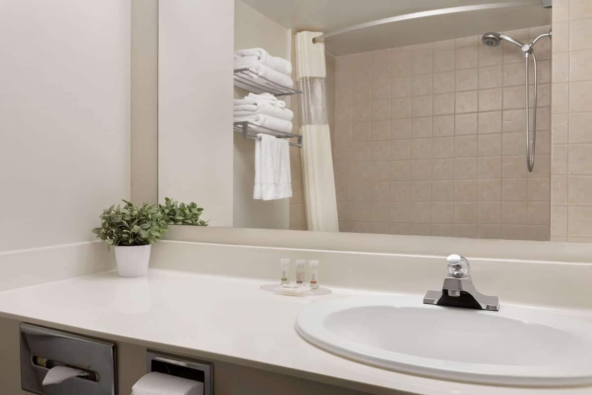 combined shower/bathtub, hydromassage showerhead, free toiletries