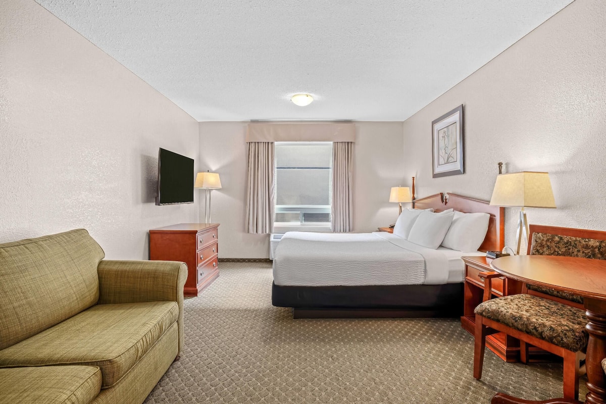 1 King Bed Non Smoking | Desk, iron/ironing board, free WiFi, bed sheets