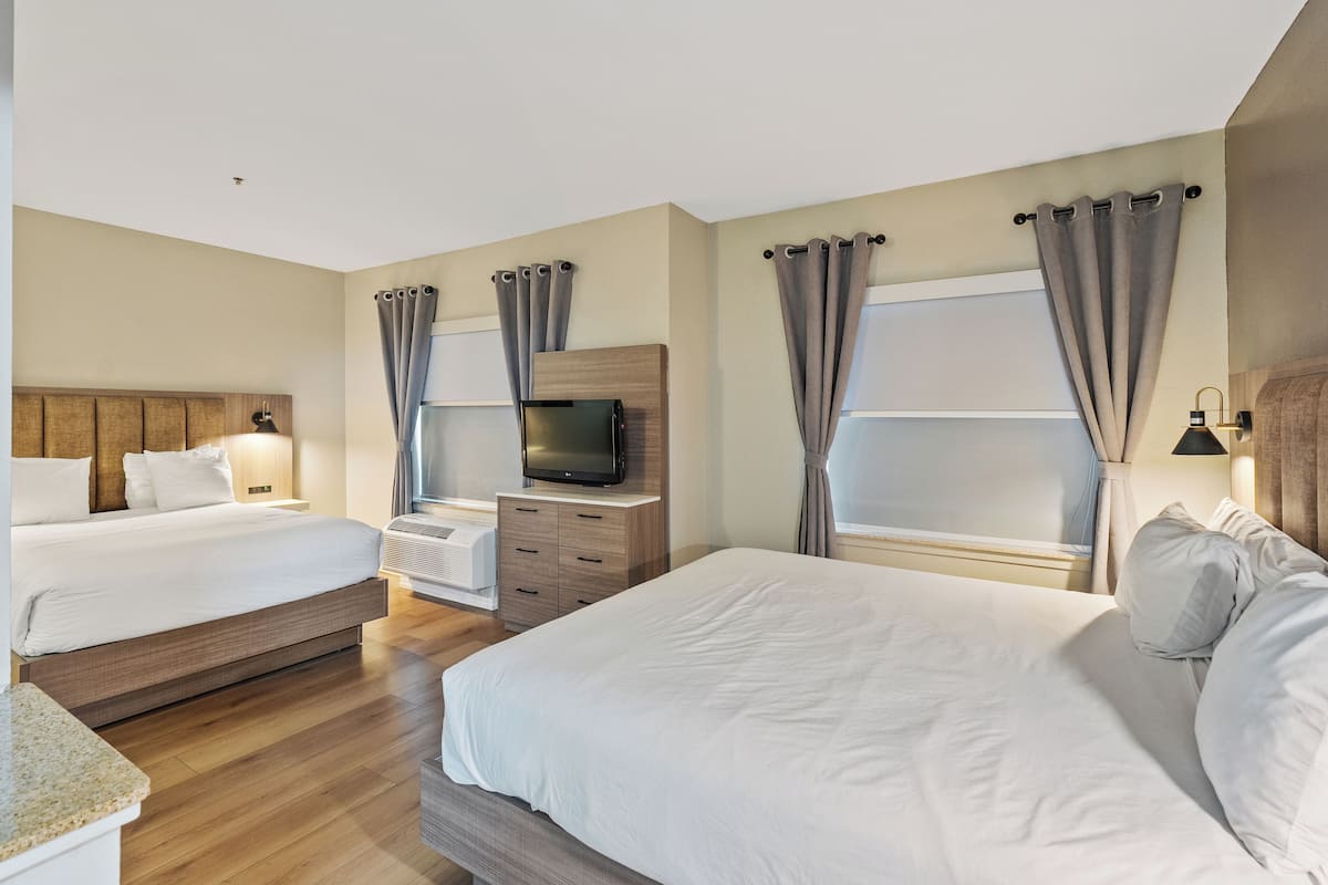 Hypo-allergenic bedding, in-room safe, blackout curtains