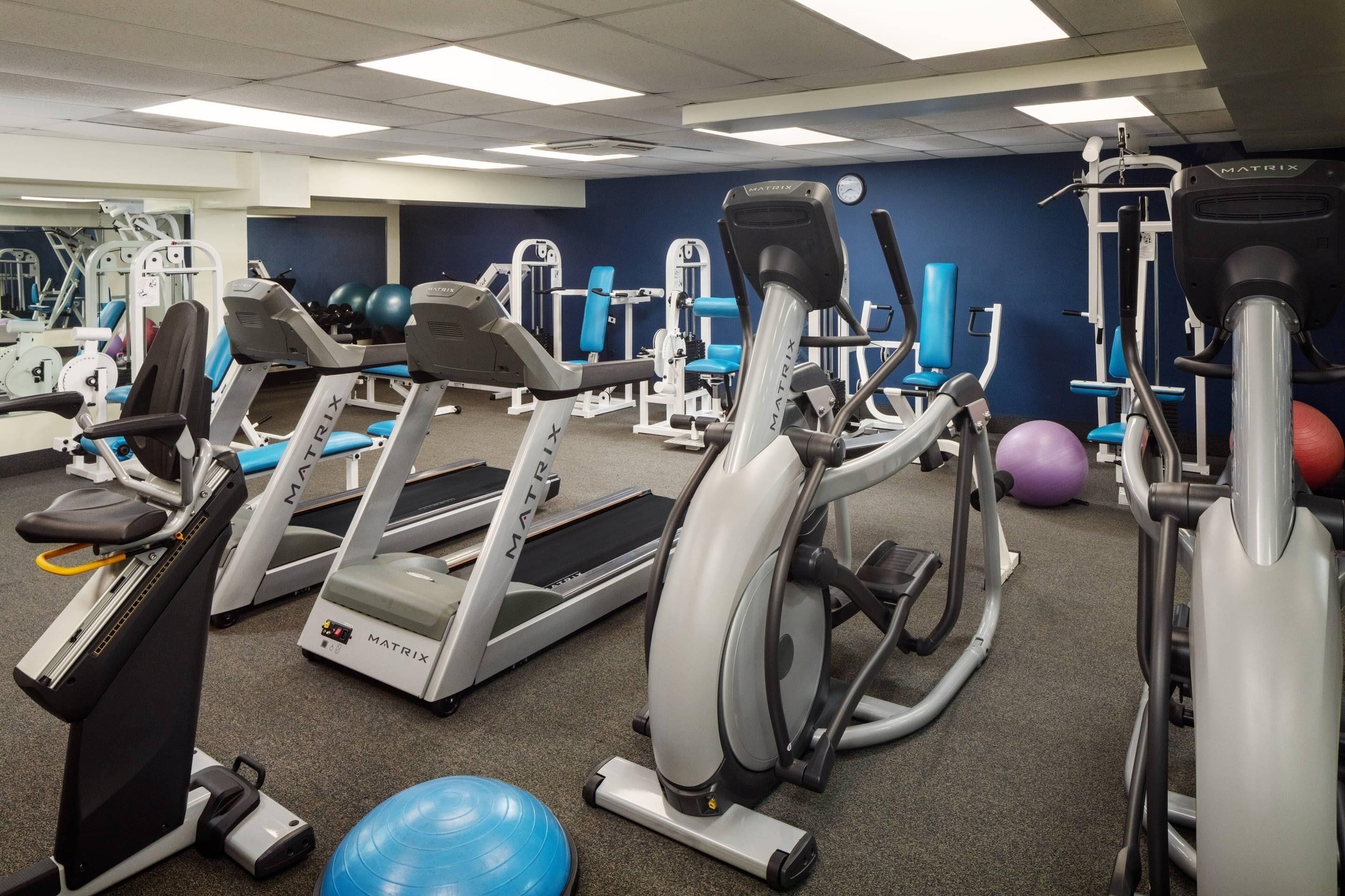 A gym with treadmills, elliptical machines, and weight machines.