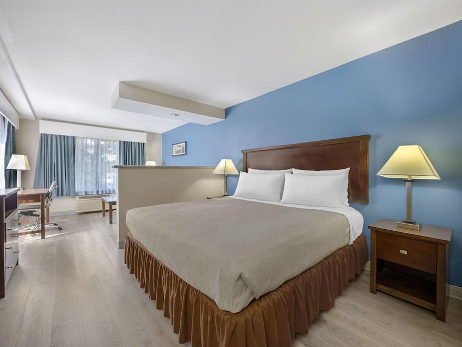 Suite, 1 King Bed, Non Smoking, Refrigerator & Microwave | Pillow-top beds, blackout curtains, iron/ironing board, rollaway beds
