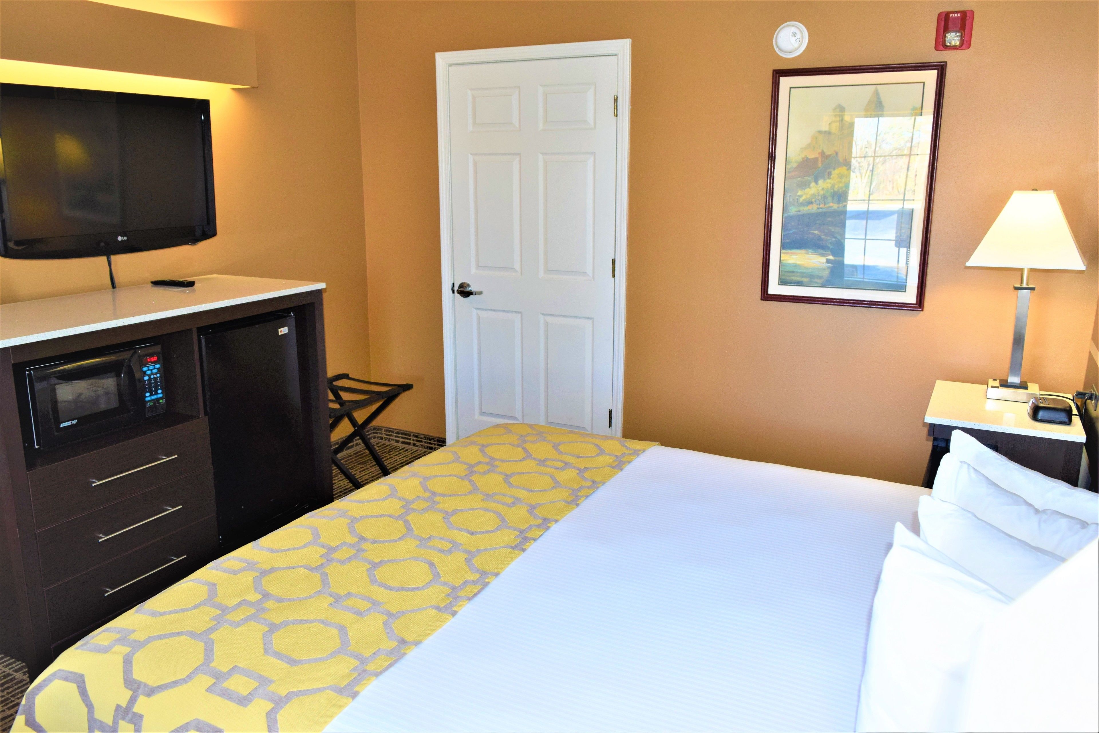 A hotel room with a bed, a desk with a microwave, a TV, a framed picture on the wall, and a nightstand with a lamp.