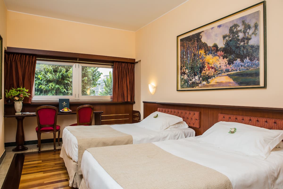 Habitación estándar con 2 camas individuales, 2 camas individuales | Ropa de cama hipoalergénica y minibar