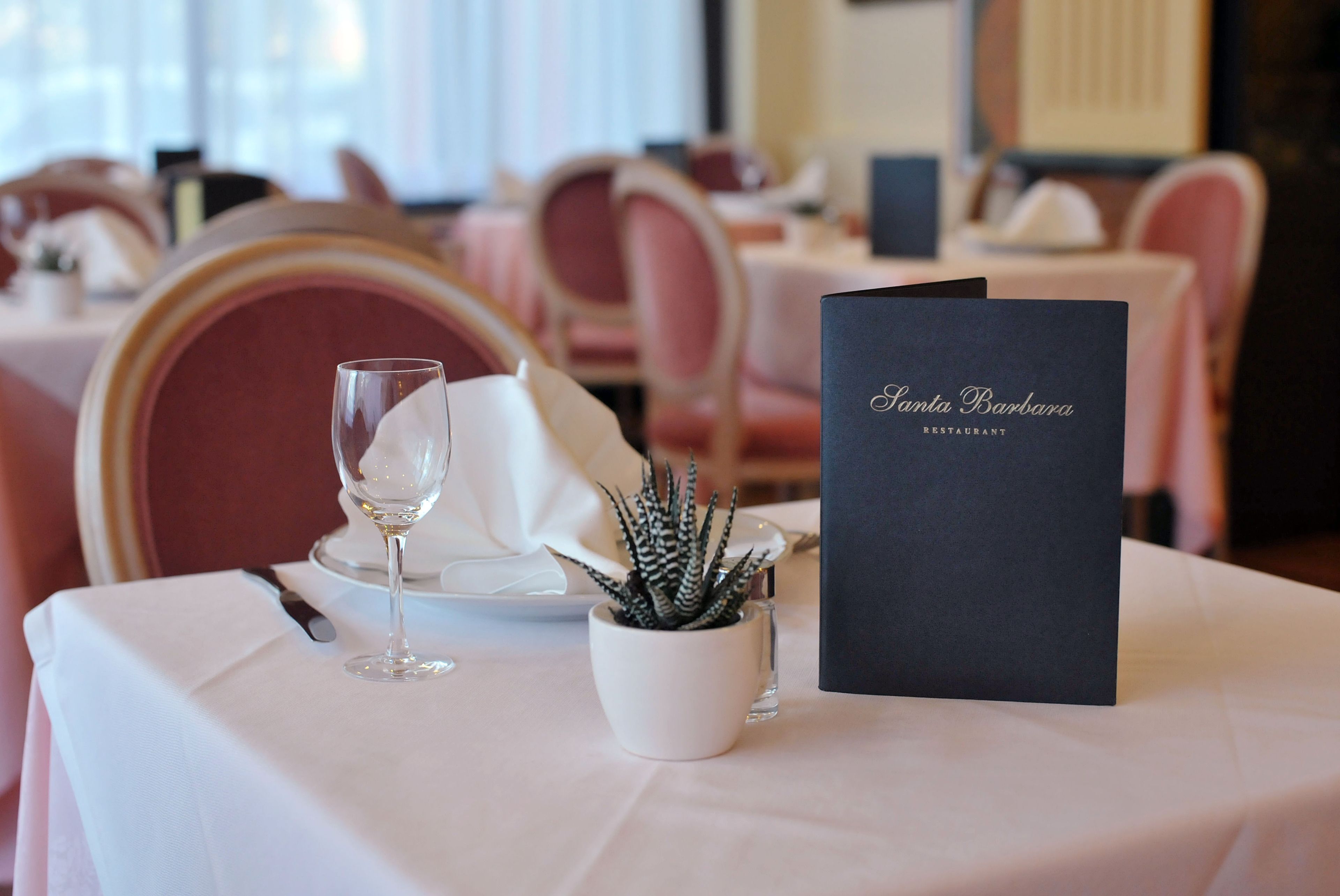Une table à manger dressée avec un verre à vin, une serviette, une petite plante en pot et un menu.