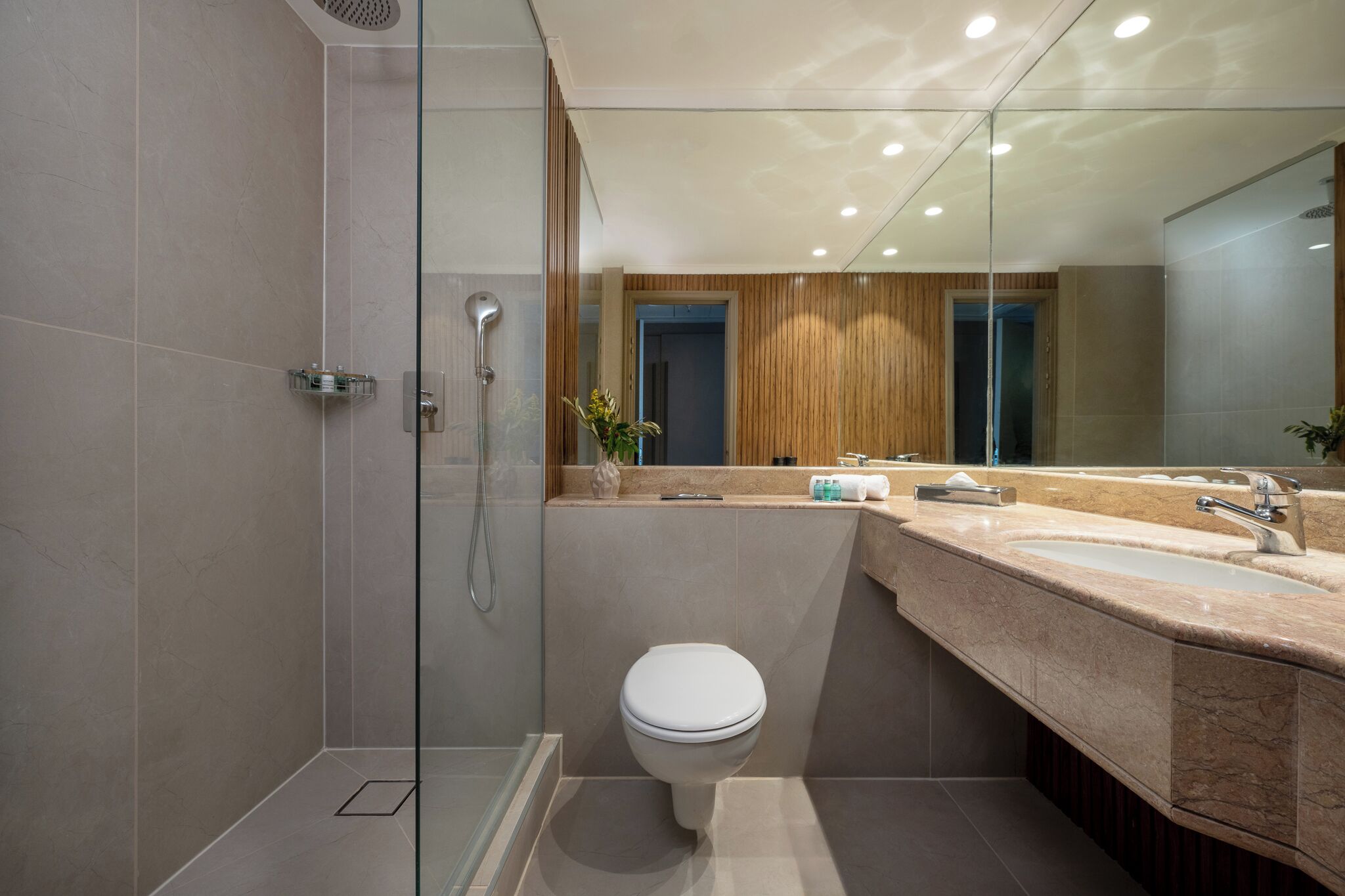 A modern bathroom with a glass-enclosed shower, a white toilet, and a vanity with a large mirror.