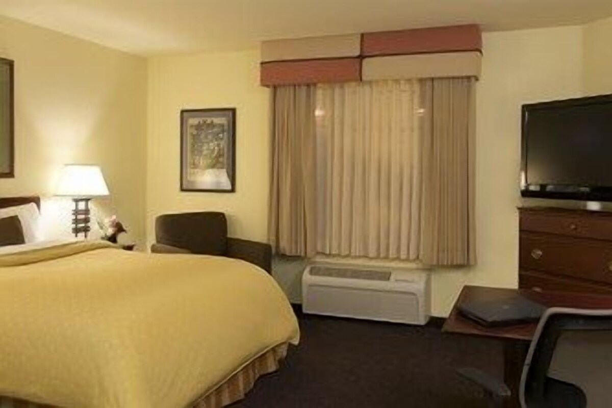 A hotel room with a bed, a desk, a chair, a television, and a window with curtains.