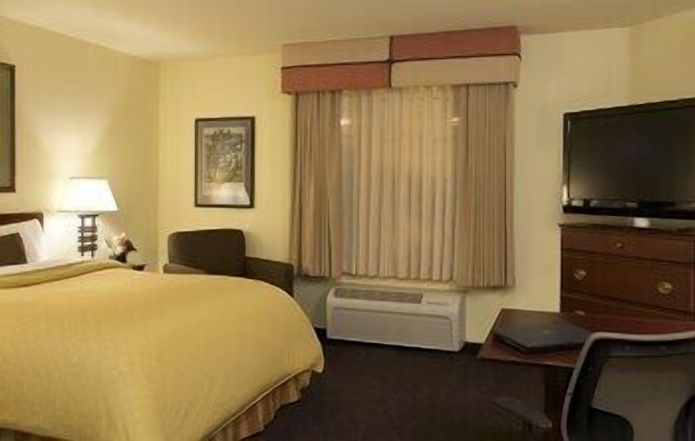 Hypo-allergenic bedding, desk, laptop workspace, blackout drapes