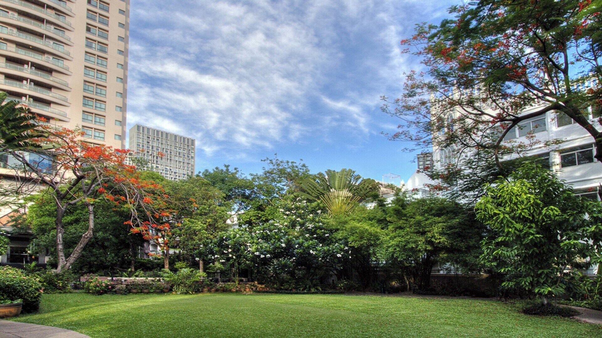 A well-maintained grassy area with dense foliage and tall buildings in the background.