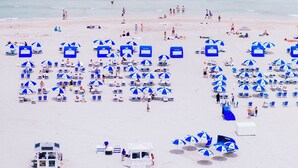Une plage parsemée de nombreux parasols bleus et de chaises longues, avec une tour de surveillance et une vue dégagée sur l’océan.