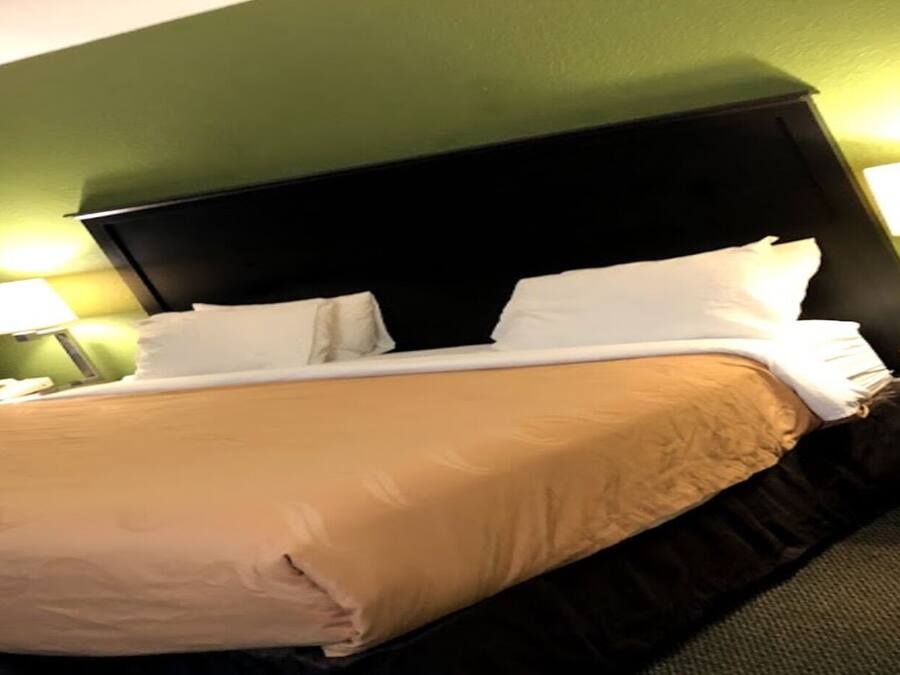 A hotel room with a large bed, two bedside lamps, a nightstand, and a green wall.