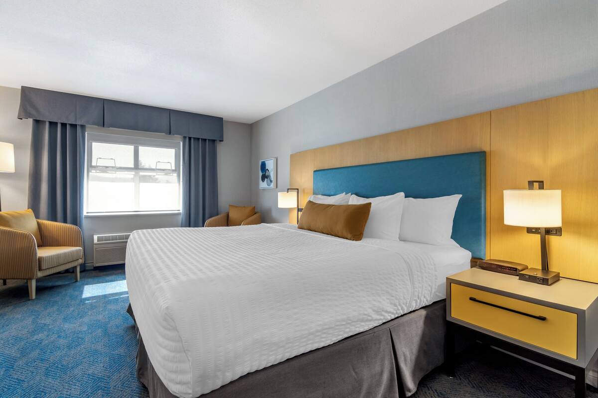 A hotel room with a large bed, a nightstand with a lamp, a chair, and a window with curtains.