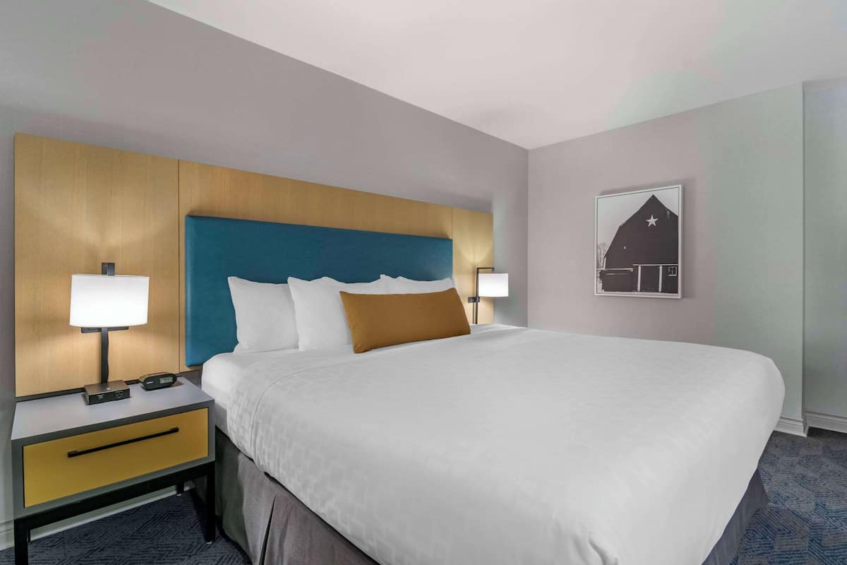 A hotel room with a large bed, a nightstand with a lamp, and a wall-mounted artwork.