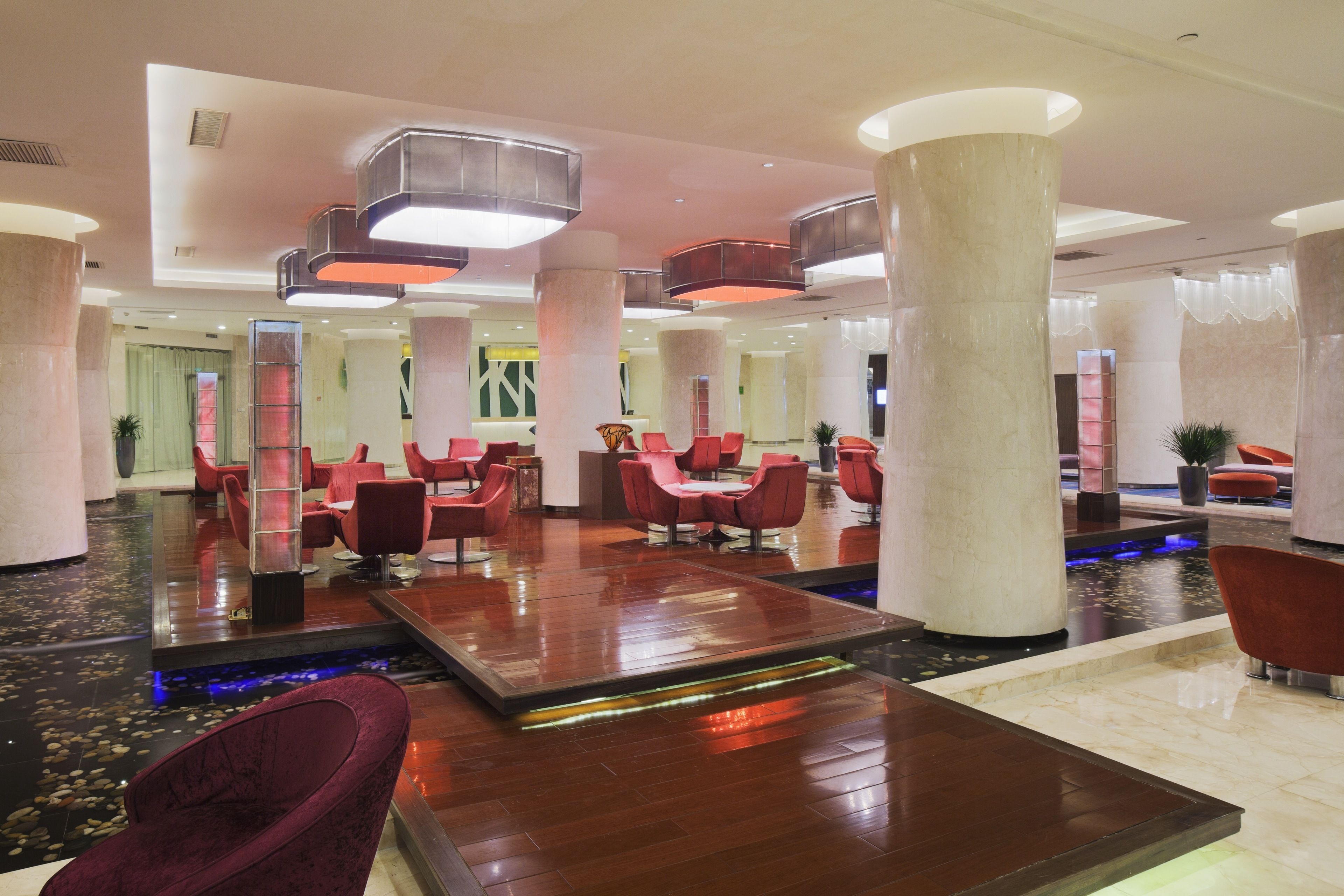 Bar (en el alojamiento)