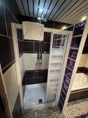 Habitación doble (Privilège - 1or2 persons) | Baño | Secadora de cabello y toallas 