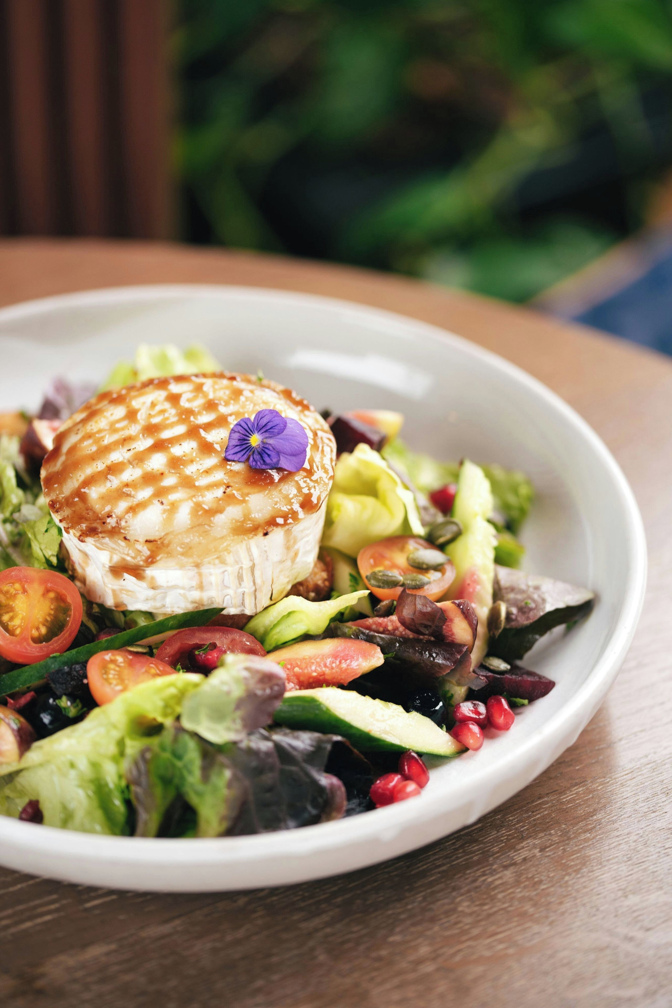A white plate with a grilled cheese sandwich, a purple flower, and a salad.