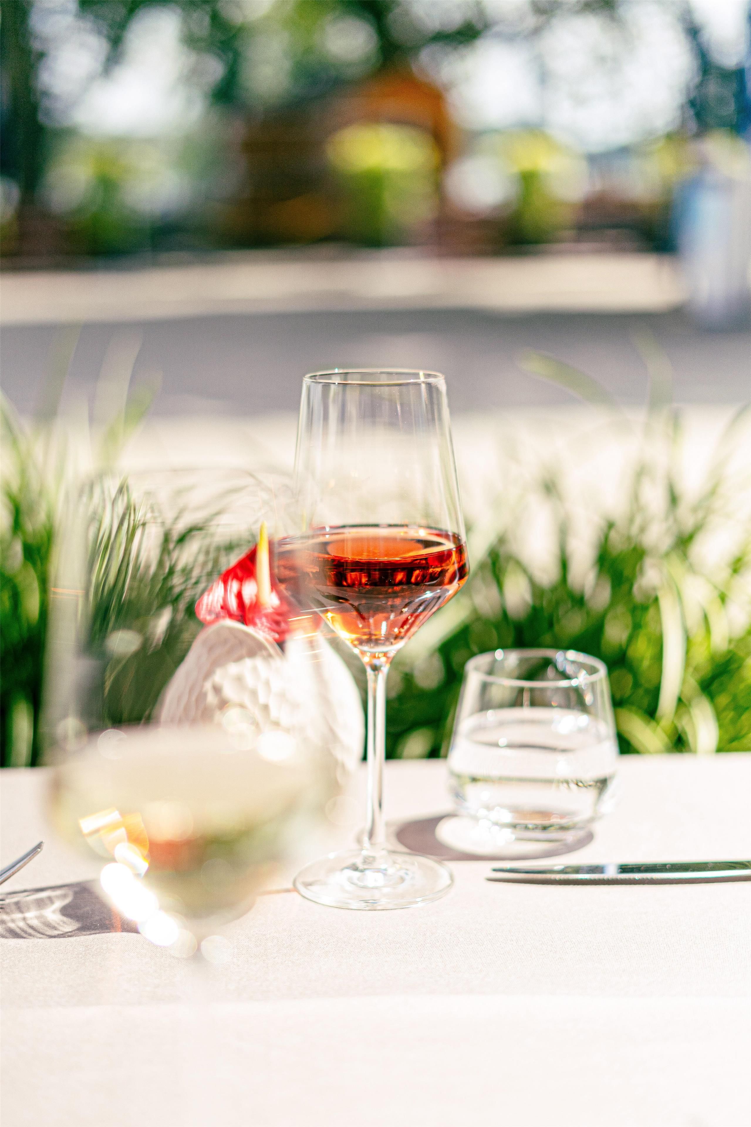 A glass of red wine on a table with a clear glass and a bottle, surrounded by greenery.