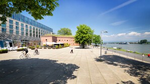 A spacious outdoor area with a paved walkway, a large tree, and a river view. - Hyatt Regency Mainz (Mainz)