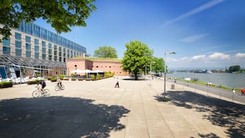 A spacious outdoor area with a paved walkway, a large tree, and a river view.