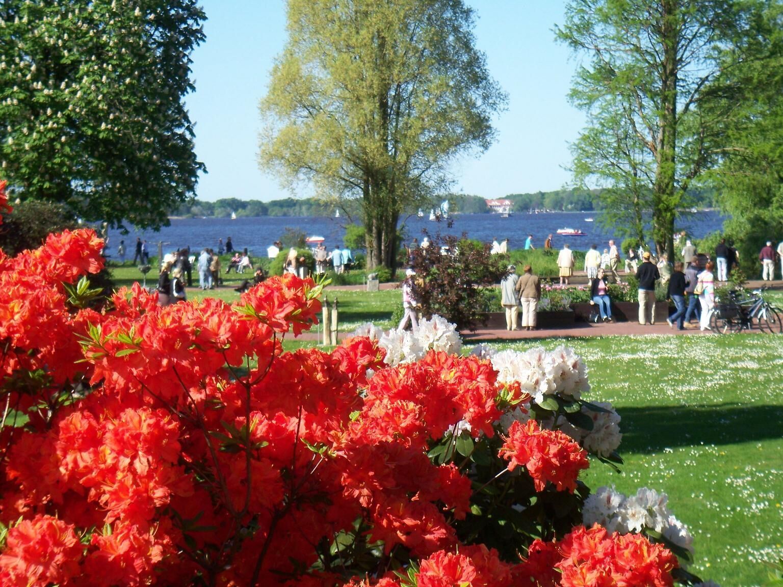 land view from property