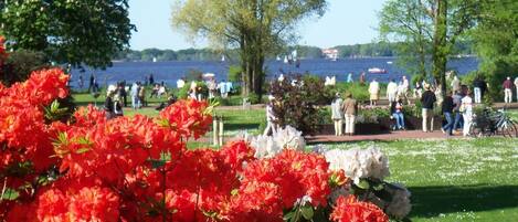 A park with a lake view, featuring red and white flowers in the foreground.