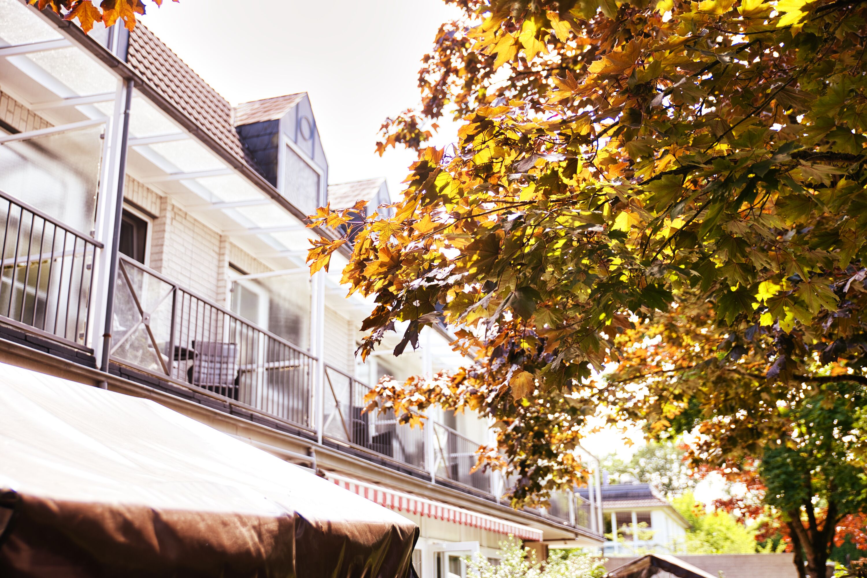 A residential building with a balcony, a covered porch, and a tree with autumn leaves.
