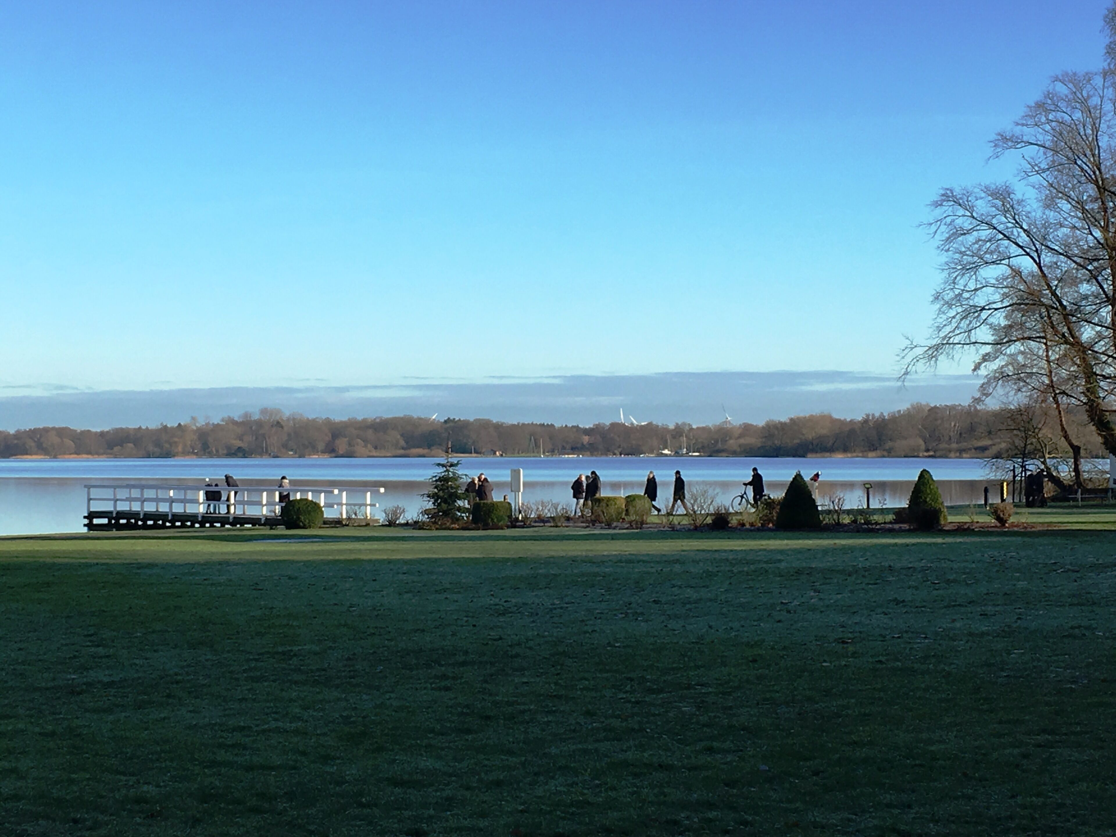 Ein Park am Seeufer mit einer Rasenfläche, einer Holzsteg und einer Baumreihe.