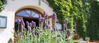 Wasserschloss Klaffenbach Schlosshotel