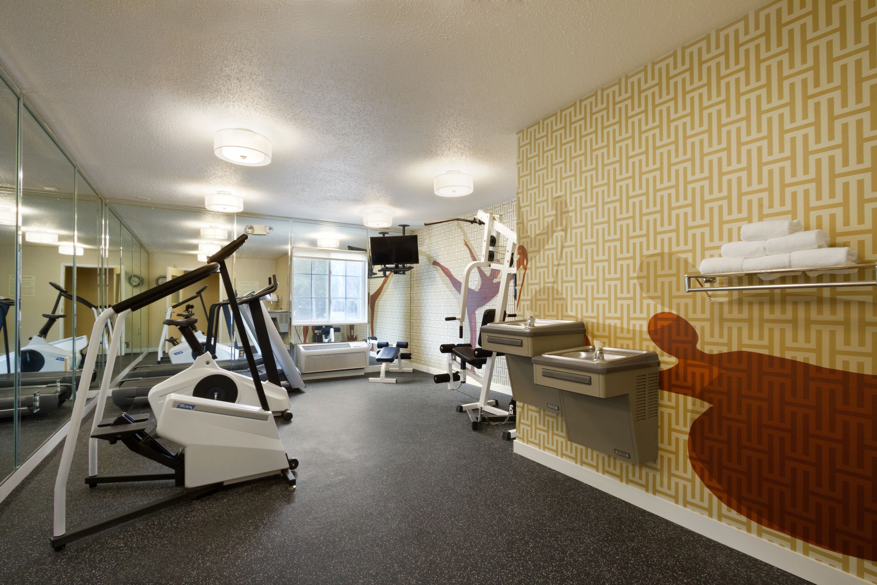 A gym with treadmills, stationary bikes, and a mirror wall.