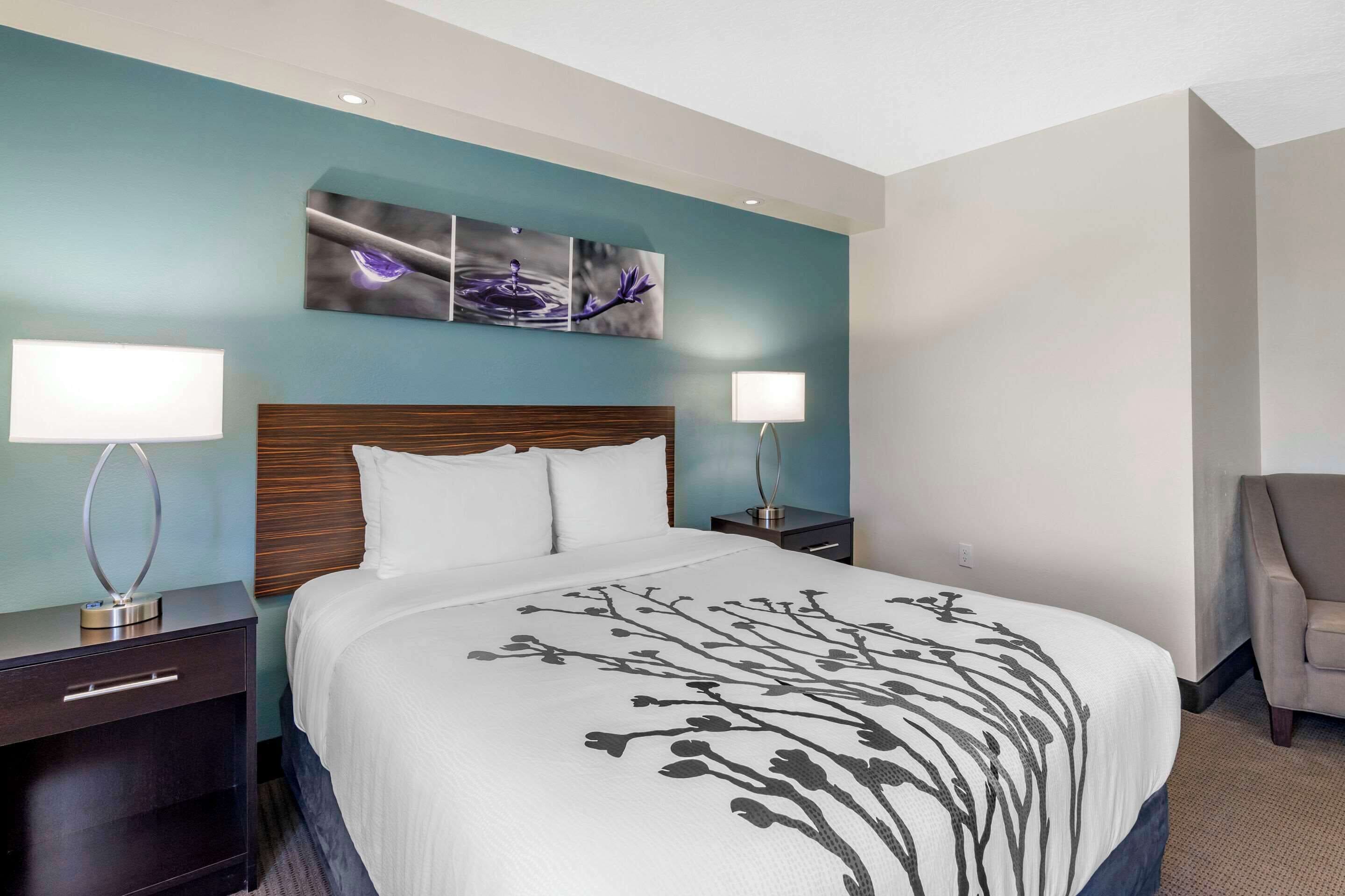 room, 1 queen bed, accessible, non smoking | desk, laptop workspace, soundproofing, iron/ironing board