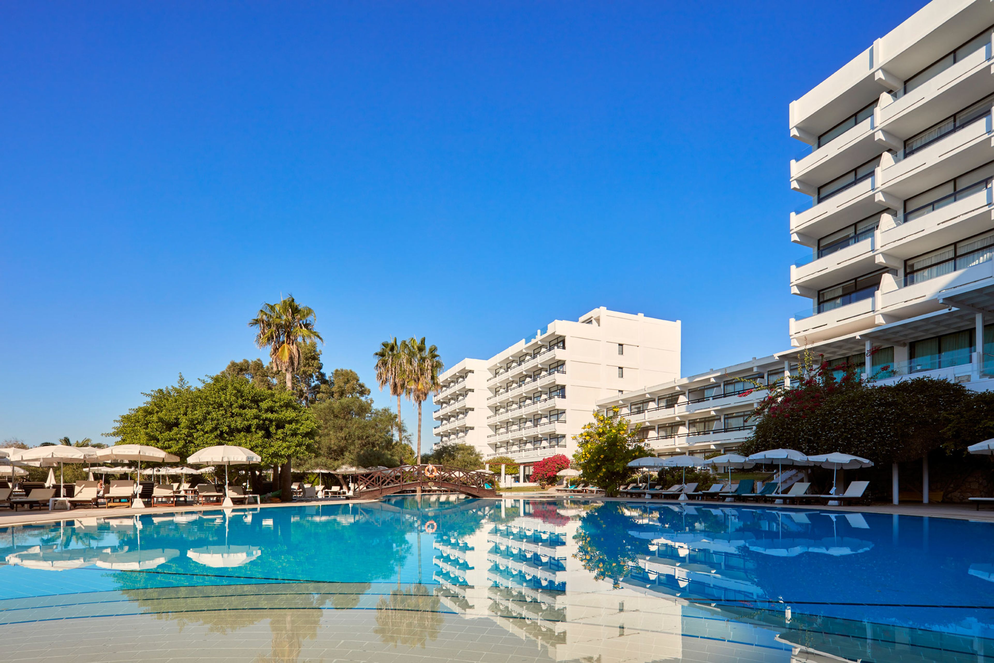 Une piscine entourée de palmiers, agrémentée de chaises longues et de parasols, et bordée d’un immeuble à plusieurs étages doté de balcons.