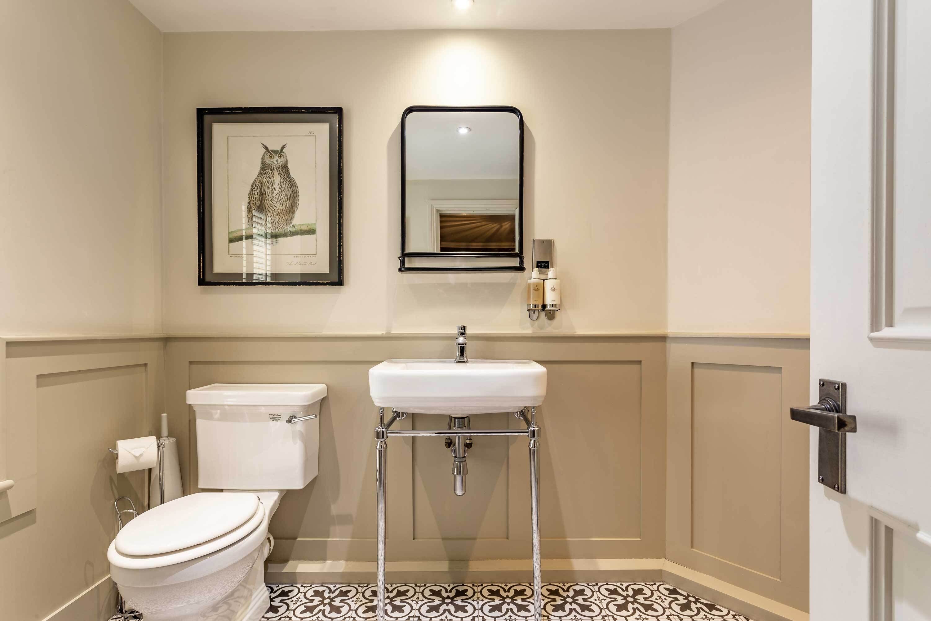 A bathroom with a toilet, a sink on a pedestal, a framed owl artwork, and a mirror.