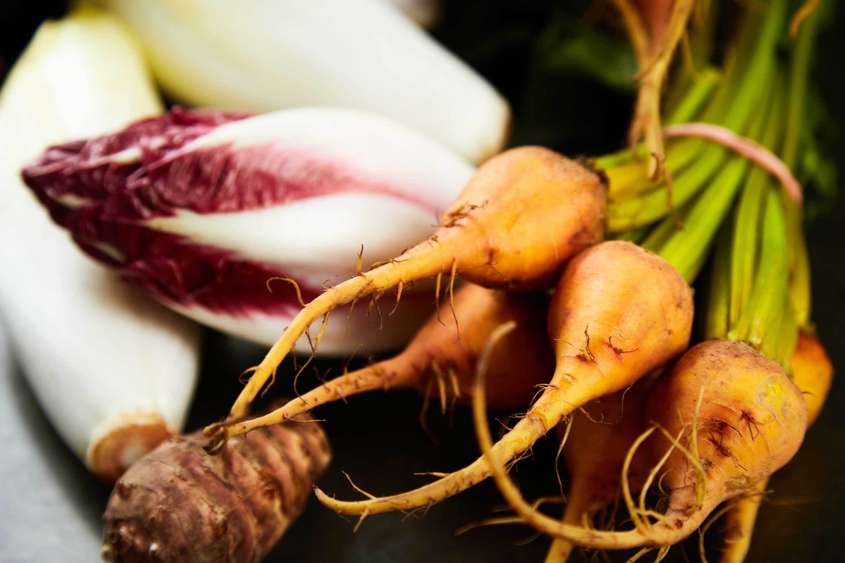 A variety of root vegetables including carrots, beets, and radishes.
