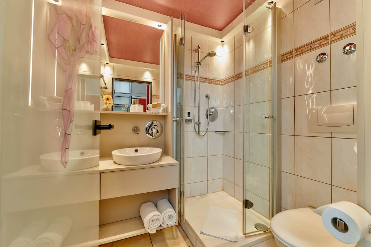 shower, free toiletries, hair dryer, towels