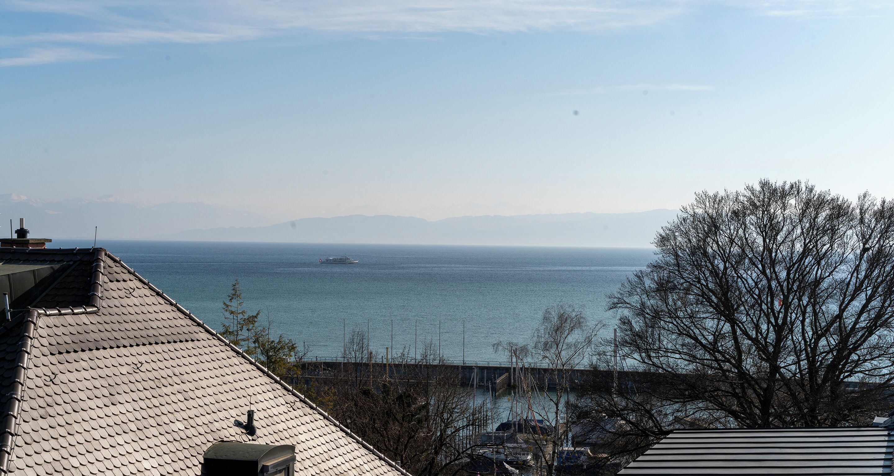 Uitzicht op de kust met een heldere lucht, een schip in de verte en een boom op de voorgrond.