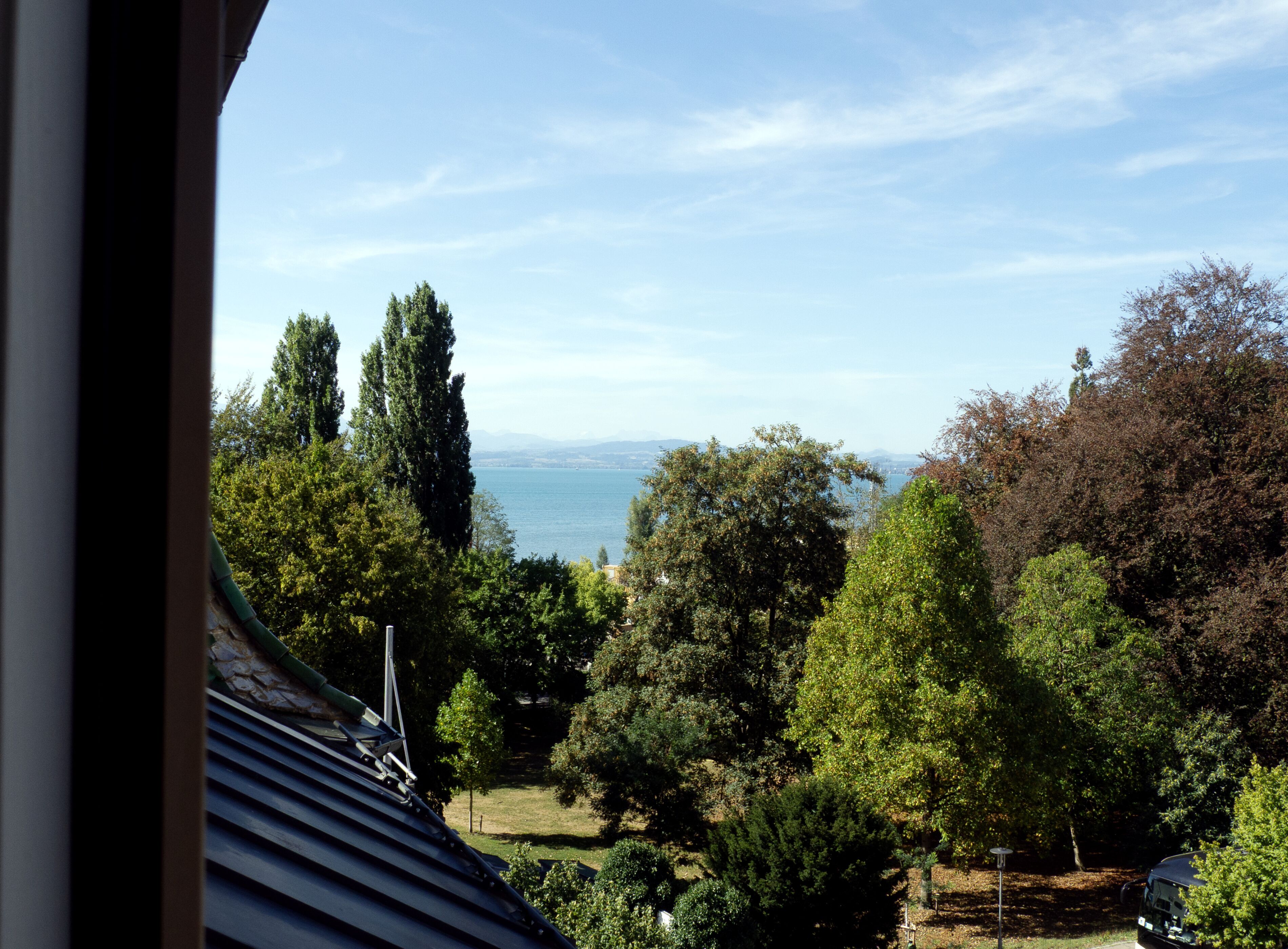A view from a window overlooking a landscape with trees and a body of water.