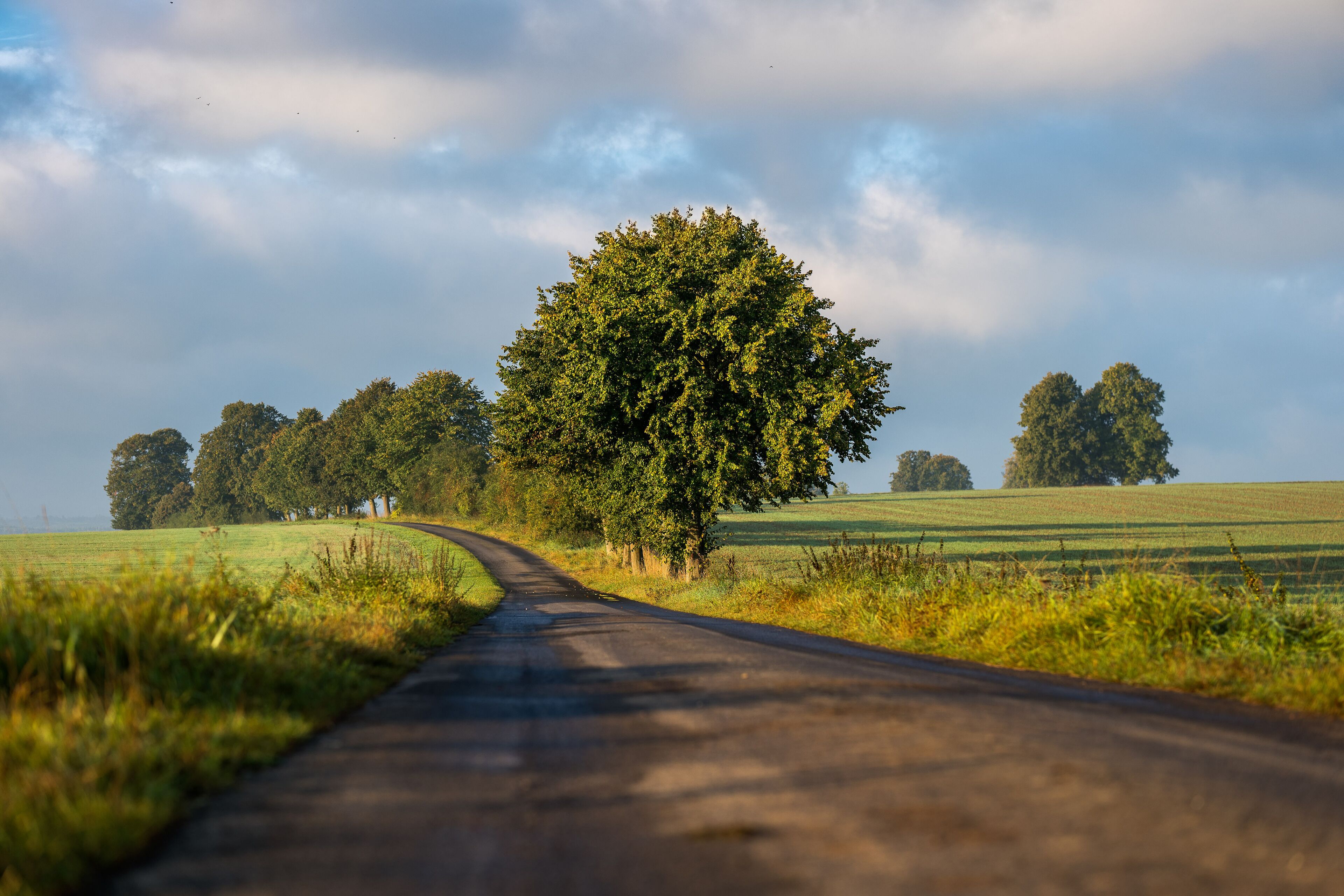land view from property