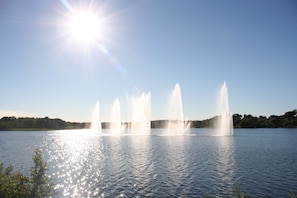 Lake