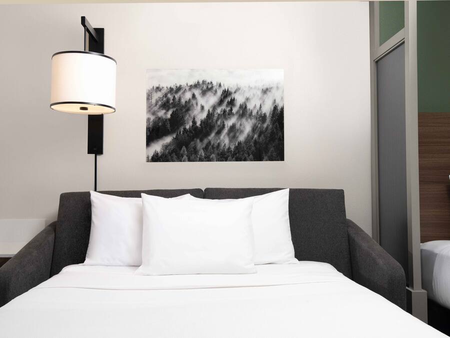 Una camera d'hotel con un letto, una poltrona grigia, un cuscino bianco, una lampada nera e un'opera d'arte che raffigura una foresta in bianco e nero appesa al muro.
