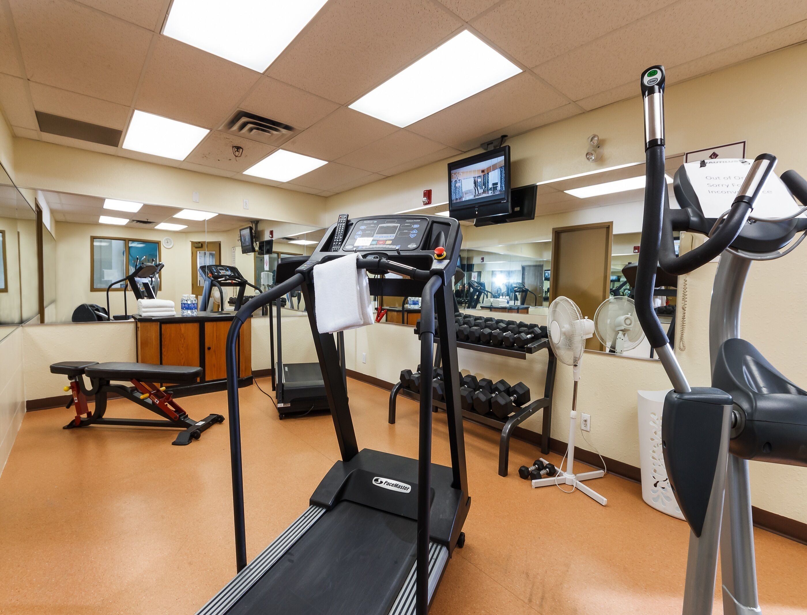 A gym with treadmills, a bench, dumbbells, and a TV on the wall.