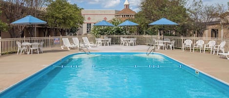 Seasonal outdoor pool, pool umbrellas, sun loungers