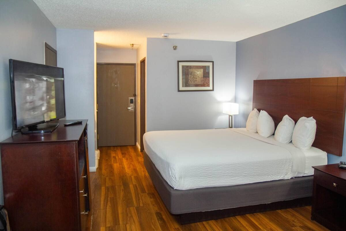 A hotel room with a large bed, a TV on a wooden dresser, a framed picture on the wall, and a door leading to another room.